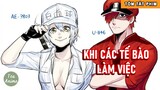Tóm Tắt Anime Hay: Khi Các Tế Bào Làm Việc | Review Anime Cells At Work