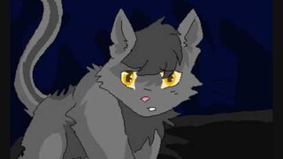 graystripe X silverstream the ghost of you AMV