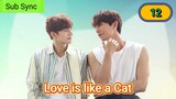 🇰🇷 [2024] LOVE IS LIKE A CAT | EPISODE 12 FINALE