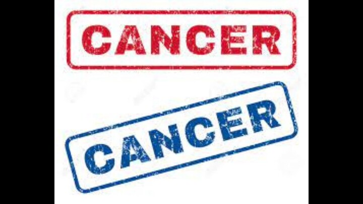 DOCUMENTAL DEL CANCER