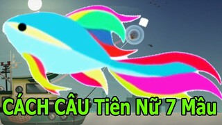 Hướng Dẫn Câu Cá Thần Tiên Tỷ Tỷ 7 Mầu Sắc Cầu Vồng Siêu Hiếm Fishing Life Top Game Android Ios