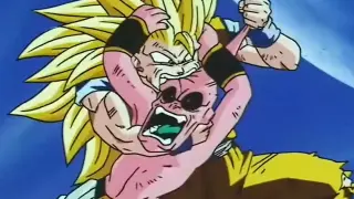 Dragon Ball: Everyone is happy, hahaha together and it's over! (Second shot)