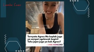 Agnes Koplak Juga