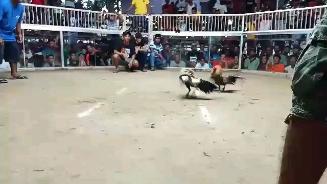 bulik na d nkabalik. loss  mga boss...
