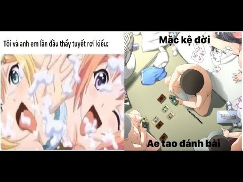 Meme ảnh chế hài hước #30 mặc kệ đời ae tôi đánh bài