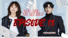 You Are My Secret ep 13 (sub indo)