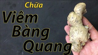 Viêm bàng quang hay viêm đường tiết niệu nặng đến đâu cũng phải khỏi nhờ 1 củ gừng tươi