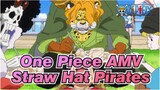 [One Piece AMV] Straw Hat Pirates's Lives on the Sea! (part 21)