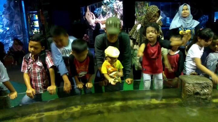 Main ke Seaworld Ancol Jakarta | anak bayi happy liat hewan | wildamoi