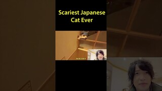 Scariest Japanese Cat Ever