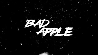 Bad Apple -Touhou- AMV/Lyrics