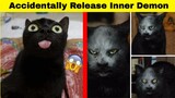 Hilarious Photos Proving That Life With A Cat Is Always Full Of Surprises