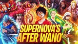 What Is Next For The Supernova After Wano - One Piece