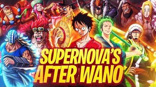 What Is Next For The Supernova After Wano - One Piece