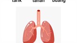 tes uji kesehatan paru paru anda sebelum terlambat