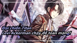 Đại chiến Titan | Bừng cháy! Levi Ackerman chạy để toàn mạng cut