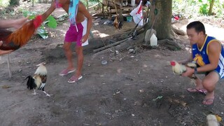 Spar