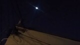 Mysterious kitten in the moonlight! PART 2
