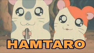 HAMSTER LUCU HAMTARO - ANIME REVIEW