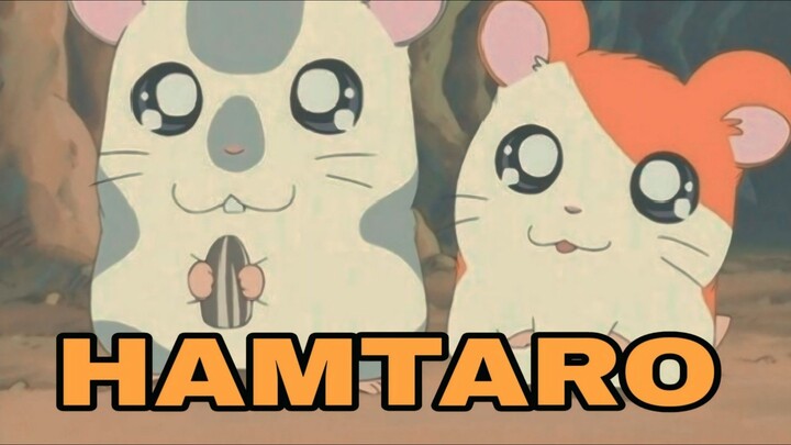 HAMSTER LUCU HAMTARO - ANIME REVIEW