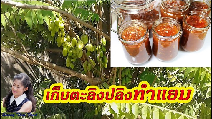 แยมตะลิงปลิง : Bilimbi Jams l Sunny Thai Food