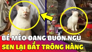 Đang buồn ngủ thì bị Sen DÍ ĐI TRÔNG HÀNG, hoàng thượng a cay 'MỘT GIẤC SAY' ngay trên sạp 😂 Gâu Đần