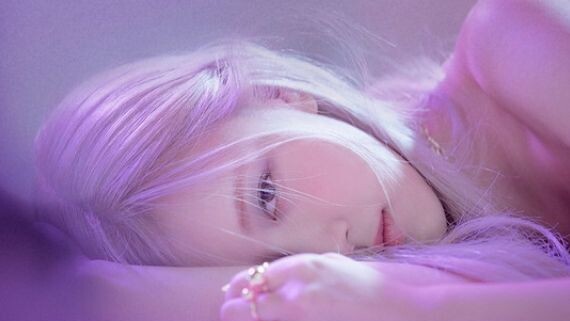 ROSE-ON THE GROUND MV