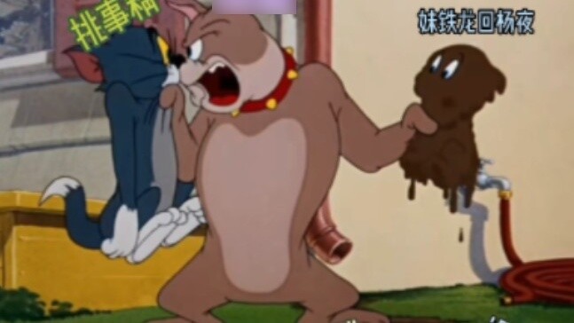 【WBG】Mr. Wang protects the calf but is a simple version of Tom and Jerry