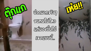 รวมคลิปตลกๆ : จะขรี้ลงไหมเนี่ย!!??