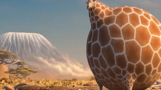 life after quarantine
