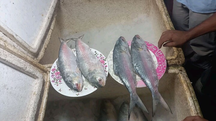 mawa