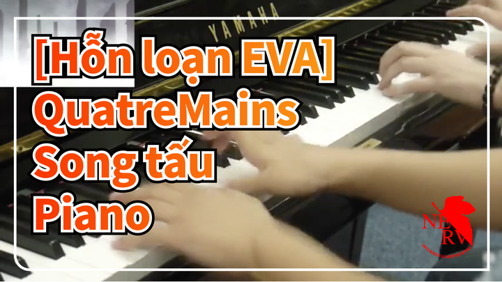 [Hỗn loạn EVA] QuatreMains / Song tấu Piano