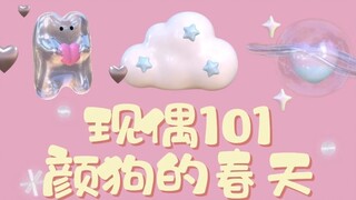 现偶101，你看好哪一部？