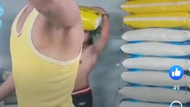 buhay mag bibigas