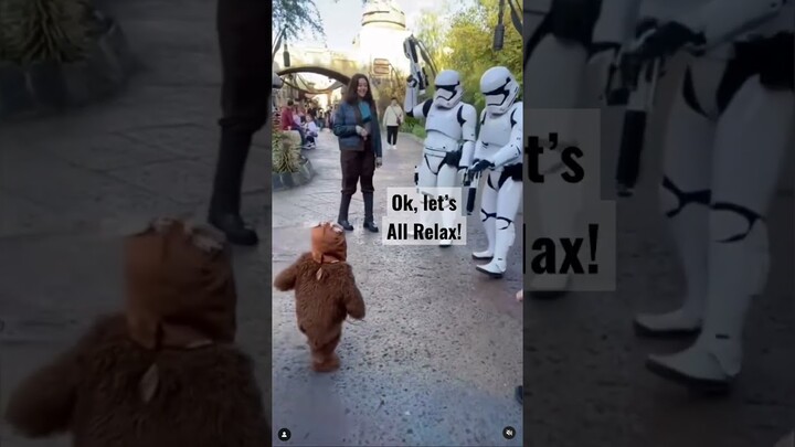 Ewok Seen in Galaxy’s Edge