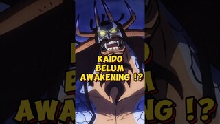 Luffy Bisa Awakening, Kaido Kok Gak Bisa ⁉️ | One Piece #shorts