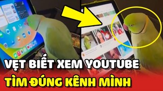 Bất ngờ chú Vẹt biết xem Youtube LỰA PHIM của Vẹt để xem 😍 | Yêu Lu