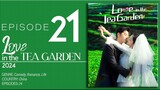 🇨🇳EP21 Love In The Tea Garden (2024)