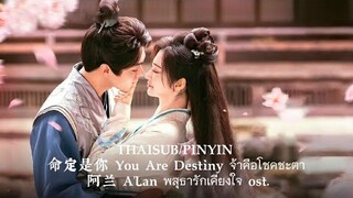 THAISUB/PINYIN 命定是你 You Are Destiny เจ้าคือโชคชะตา – 阿兰 A'Lan | พสุธารักเคียงใจ ost.