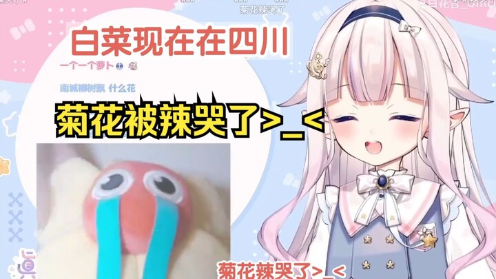 白菜在四川收到店员派的免费礼物后一个人玩起抽象小剧场w