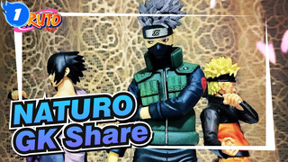 NATURO| GK Share_1