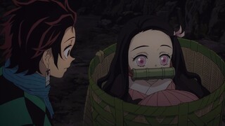 Berperilaku baik dan kuat! Kamu pasti belum pernah melihat saudara perempuan yang imut seperti itu! "Kimetsu no Yaiba"