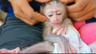 Feel Refresh & Relaxing!! Tiny adorable Luca enjoys grade A+ massage by Mom.