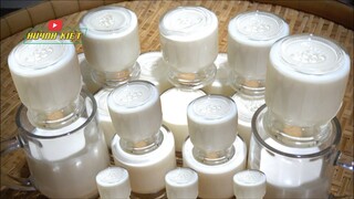 Sữa Chua Yaourt Dẻo úp ngược không cần ủ nước....