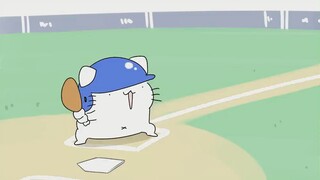当猫猫遇上棒球会....