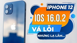 CÓ NÊN CẬP NHẬT IOS 16.0.2 TRÊN IPHONE 12 - HIỆU NĂNG VÀ PIN SẼ RA SAO ?