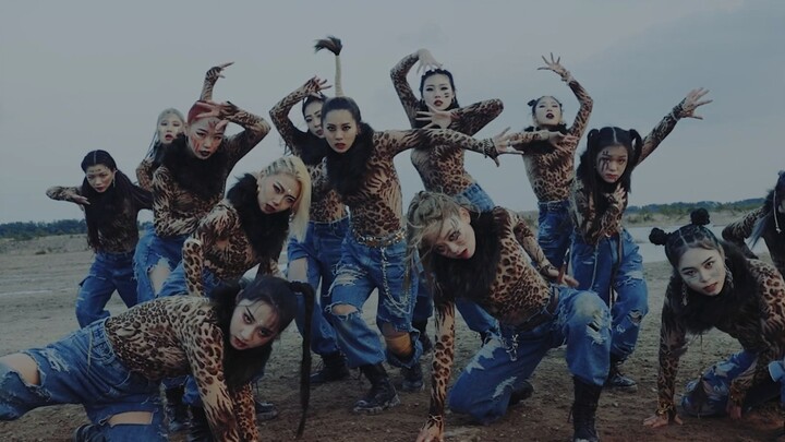 Alien Dance Studio |. ALNW Project Vol.3 l JungleBook |. การออกแบบท่าเต้นโดย Luna Hyun