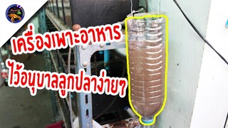 ทำเครื่องเพาะอาหารไว้อนุบาลลูกปลาได้ง่ายๆด้วยของเหลือใช้ในบ้านสไตล์korattv