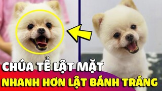 Bé Cún có màn 'LẬT MẶT' nhanh hơn cả 'LẬT BÁNH TRÁNG' khiến thanh niên 'ĐỨNG HÌNH' 🤣 Gâu Đần