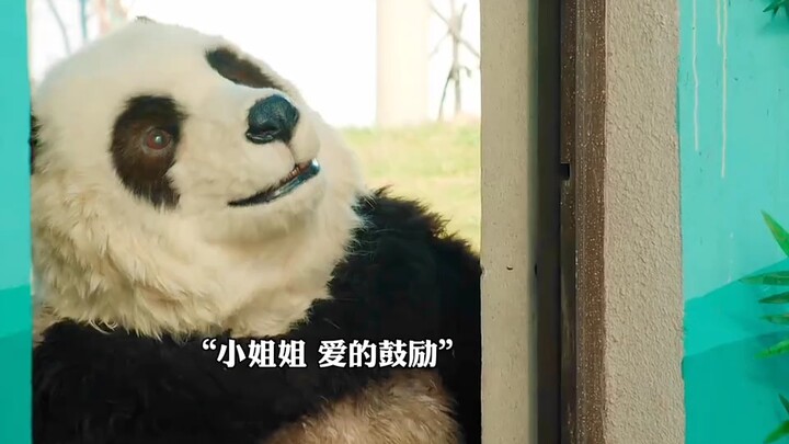 一伙人假扮动物生意火爆，不料被大佬看出端倪，最后笑死人了